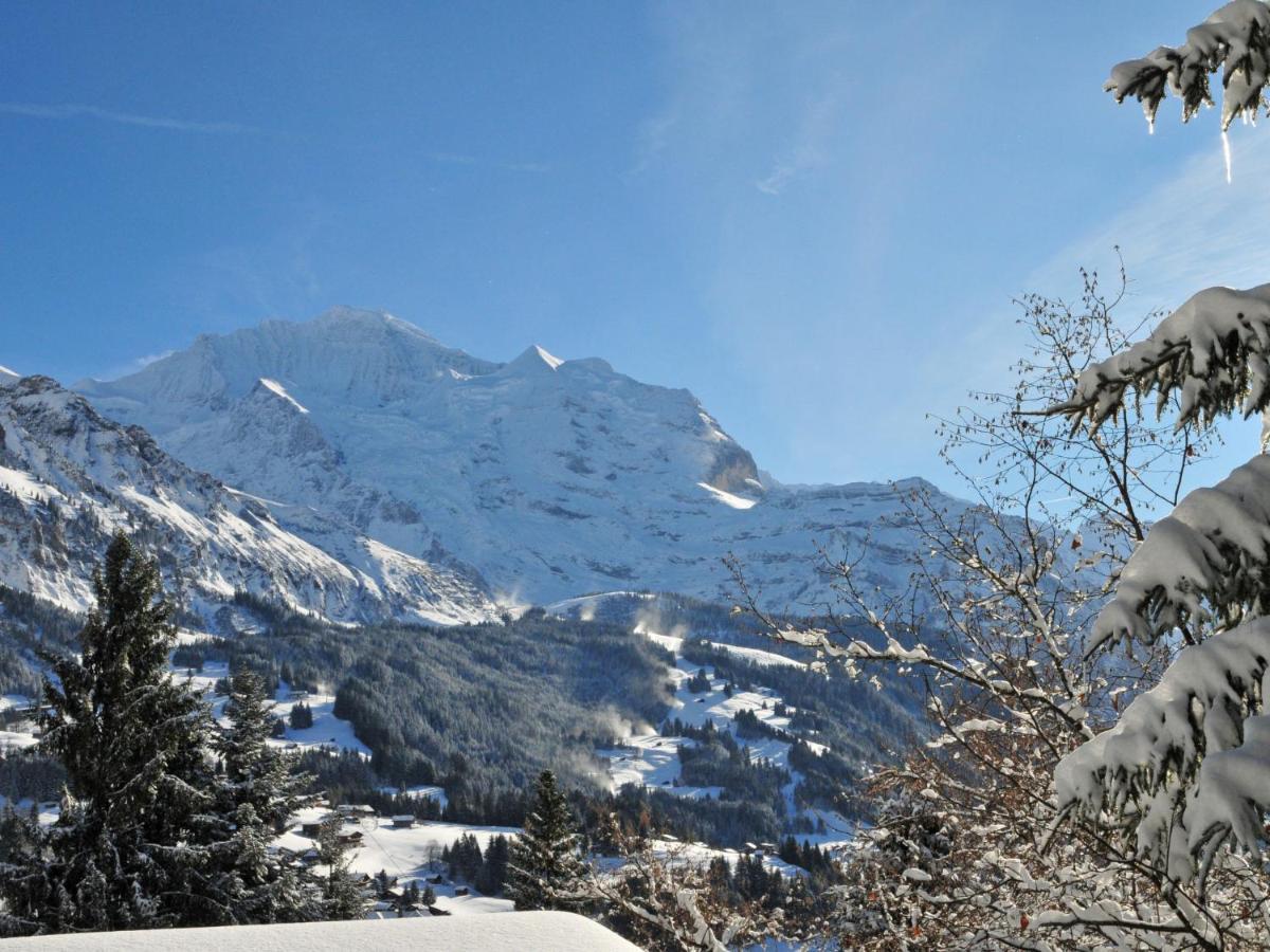Apartment Helene Apt- Hella By Interhome Wengen Exteriör bild