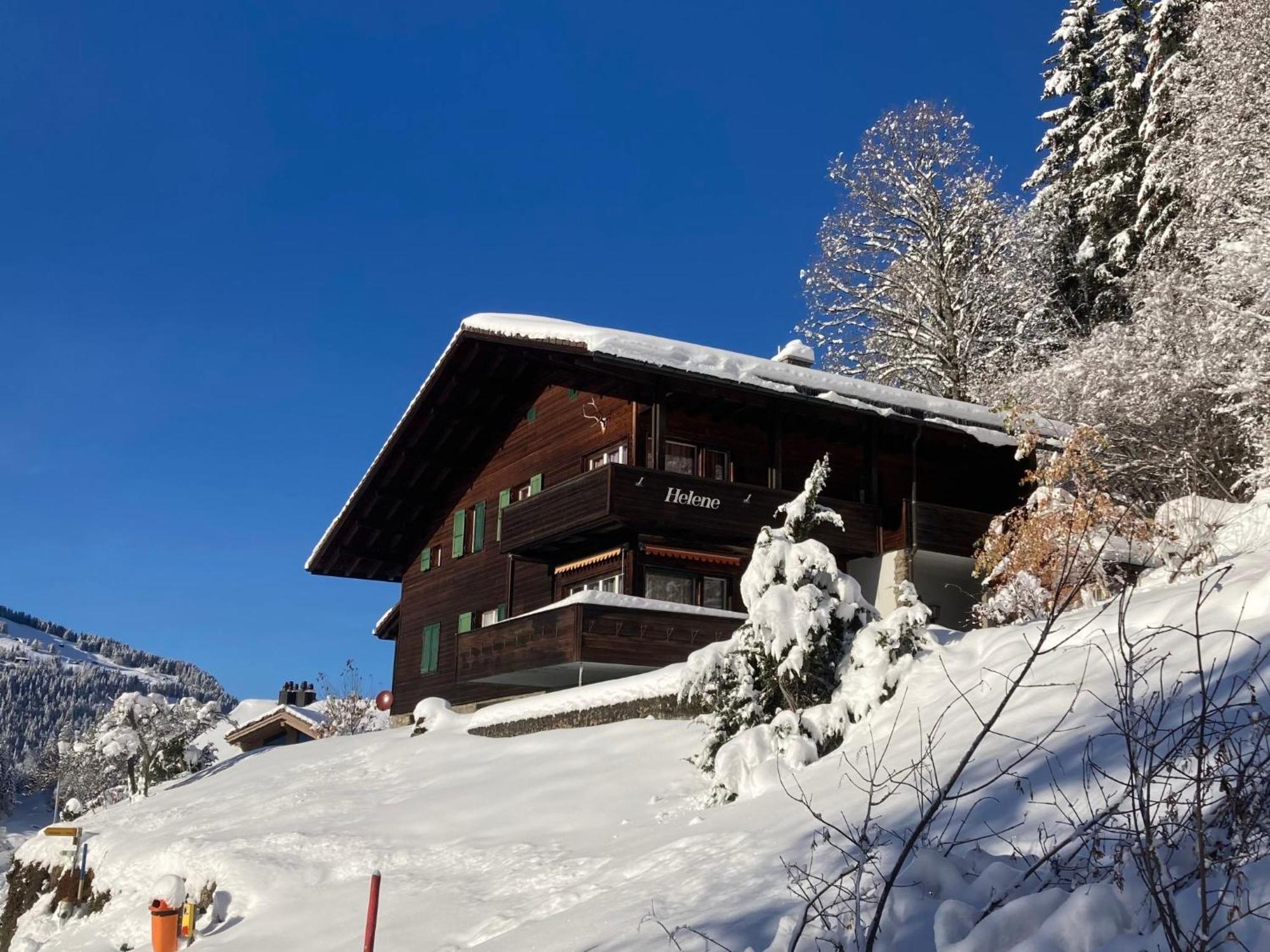 Apartment Helene Apt- Hella By Interhome Wengen Exteriör bild