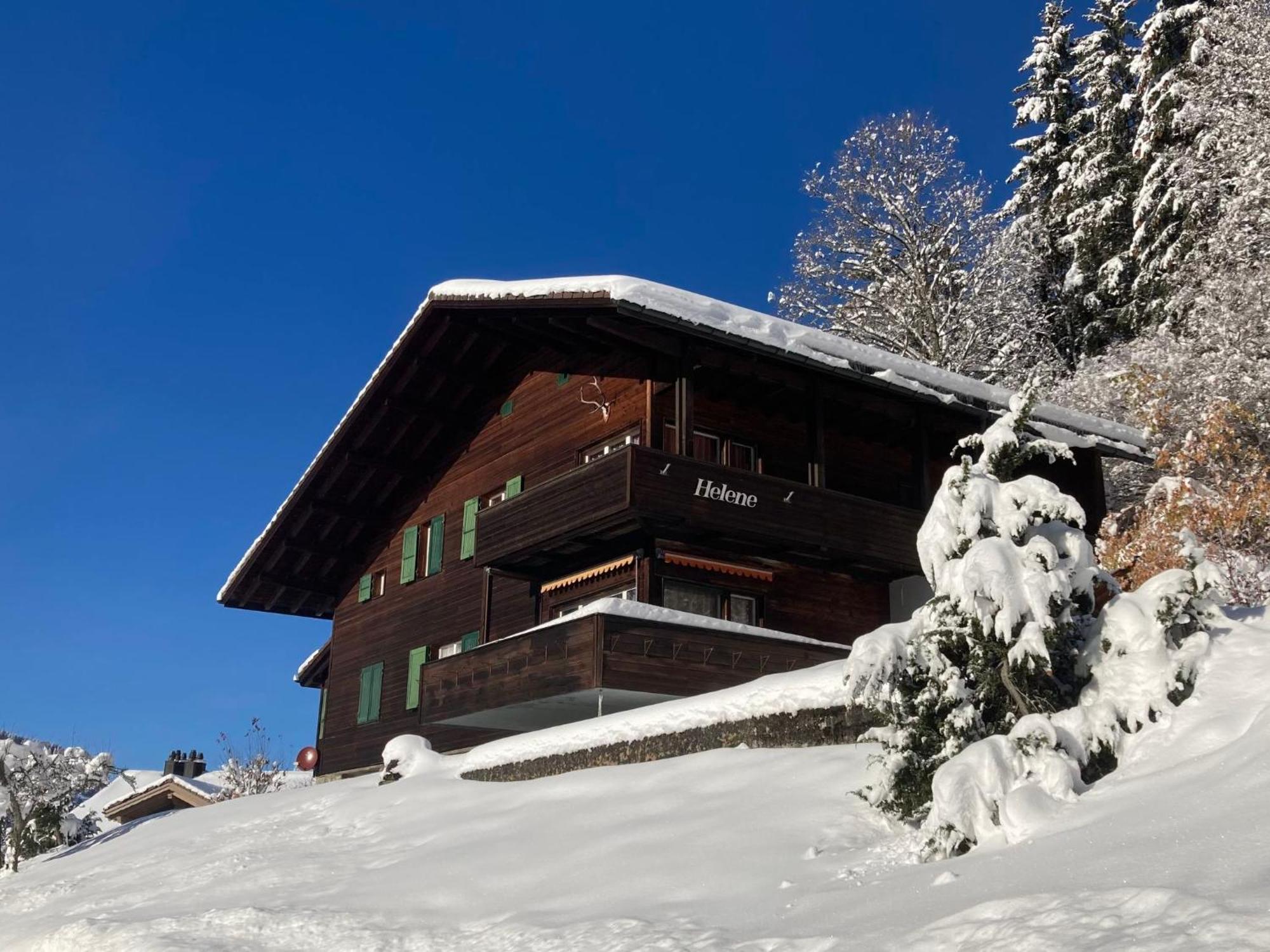 Apartment Helene Apt- Hella By Interhome Wengen Exteriör bild